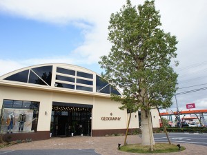 6C - 大きなクスノキがシンボル！　草津市 ジェオグラフィー