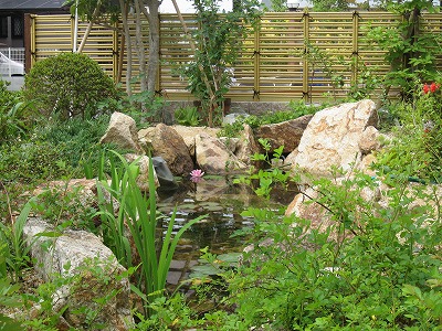 37C 5 - 自然を育むビオトープのお庭　大津市