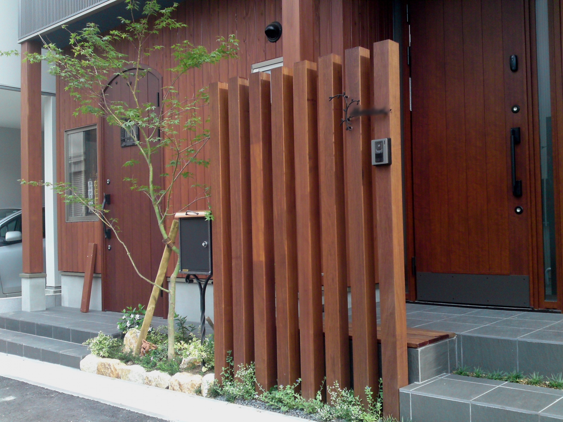 77C - 天然木に映えるメインツリーのモミジ　　大津市