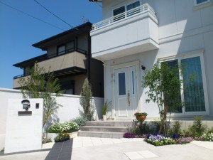 99C - 白いキャンバスに描いた花の彩り　京都市